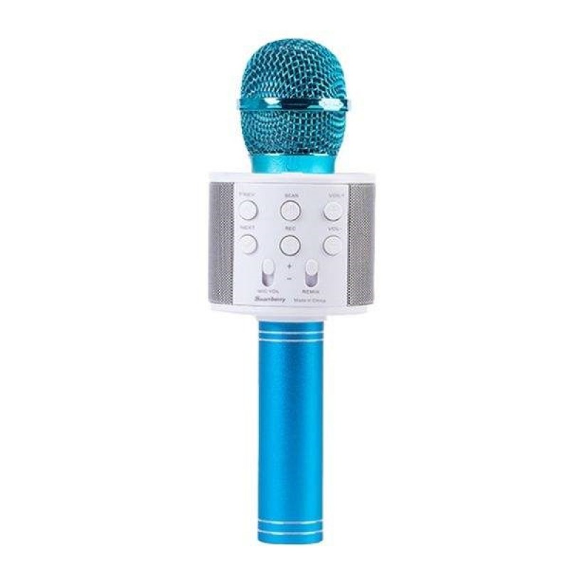 mic2-1-1-1-1-1.jpg