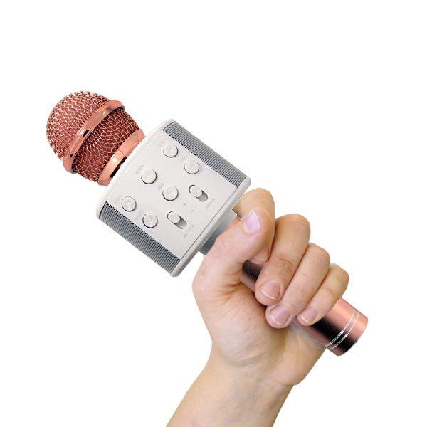 mic3-1-1-1-1-1.jpg